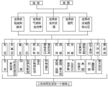 初中课程改革实施方案 初中历史课程改革的几点反思