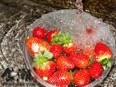草莓清洗方法 清洗草莓方法技巧