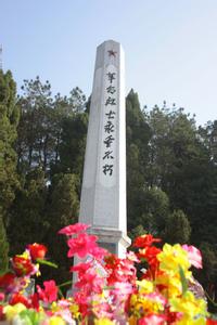 清明节祭扫烈士墓有感 清明节祭扫烈士墓