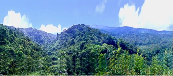 澄迈加笼坪 澄迈加笼坪热带季雨林旅游区