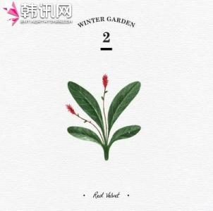 red velvet wish tree Red Velvet《Wish Tree (三个愿望)》歌词