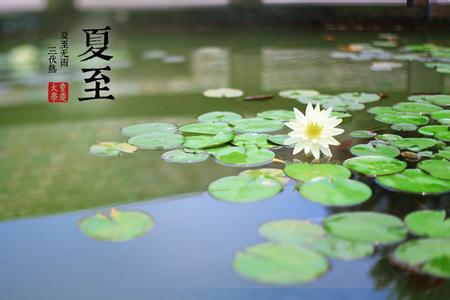 湿疹饮食起居注意什么 夏至饮食起居要注意什么