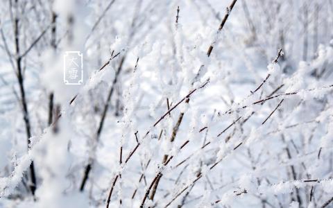 大雪节气吃什么 大雪节气可以吃什么