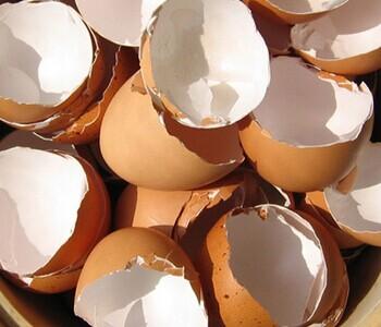 鸡蛋膜去黑头的副作用 鸡蛋壳内膜去黑头有用吗