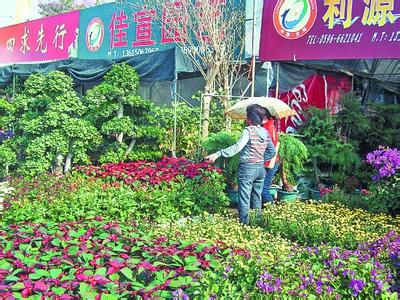 漳州百花村小姐怎么去 漳州百花村