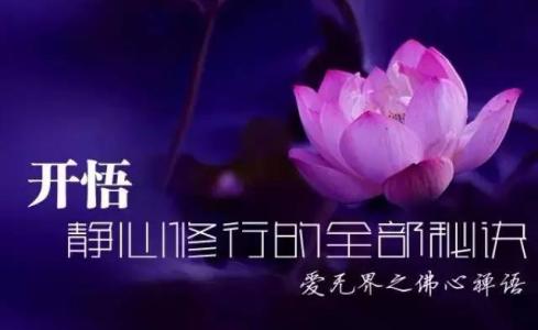 慧能大师开悟五句话 一共六句话，谁看到，谁开悟