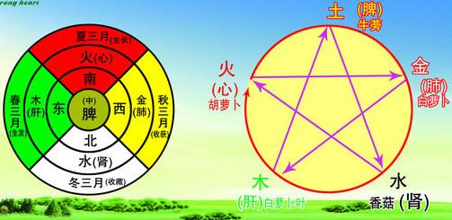 中医体质五行分类法 中医五行分类旅游根据自身特点