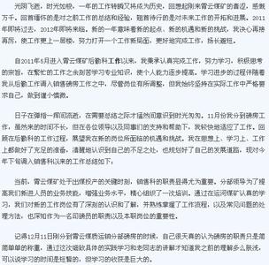 销售个人月度工作总结 做销售个人工作总结(2)