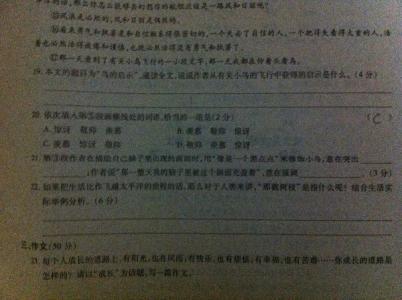一只鸟金益生阅读答案 一只鸟阅读答案
