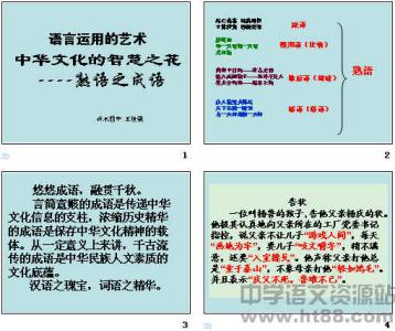 中医执业医师考点解析 成语考点解析