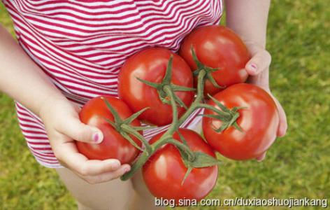 swisse护肝片怎么吃法 番茄这样吃能护肝