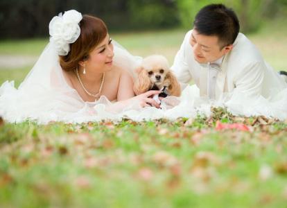 和狗狗一起拍婚纱照 怎么和宠物一起拍婚纱照