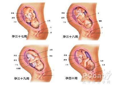 意外怀孕的前兆 怀孕第一个月的症状