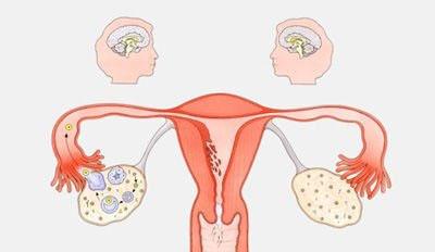 排卵期症状有哪些图片 女性排卵期的症状有哪些