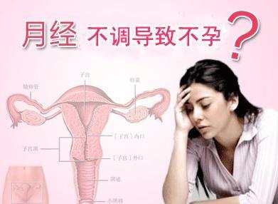 月经不调怎样快速怀孕 月经不调能怀孕吗？