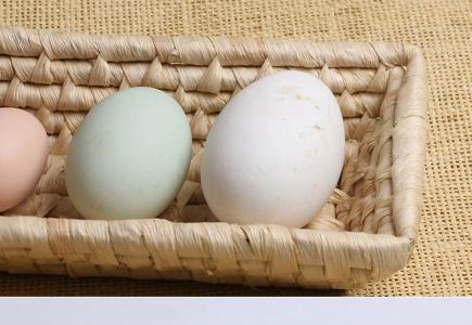 怀孕几个月吃鹅蛋最好 孕妇能吃鹅蛋吗