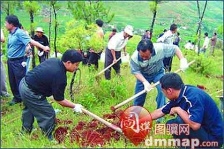 福州清明节习俗