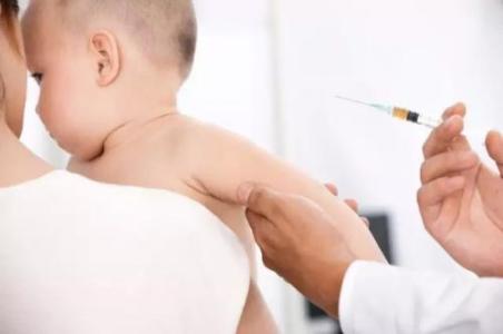 麻疹疫苗 过敏 宝宝树 过敏宝宝不能打哪些疫苗