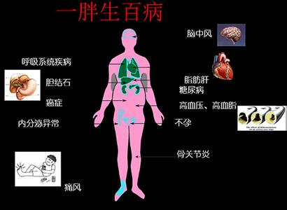 肥胖及引发的慢性病 肥胖是慢性病的发动机