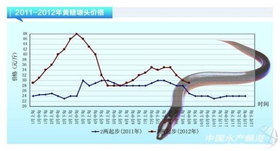 血小板减少症 发病率 如何减少黄鳝发病