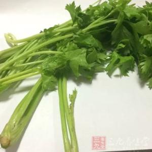 芹菜的营养价值 芹菜叶的营养高于芹菜茎