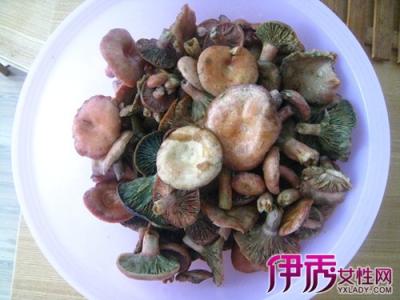 桦褐孔菌的功效与作用 菌油的功效与作用