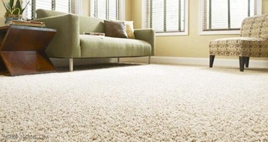 地毯保养 怎样进行地毯的保养？