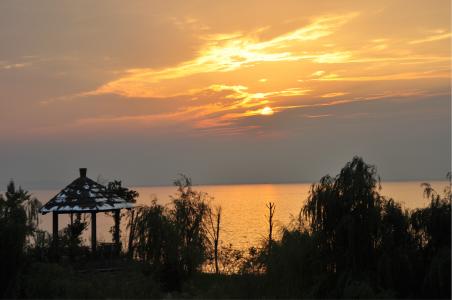 你是流年风景画出的伤 流年，风景