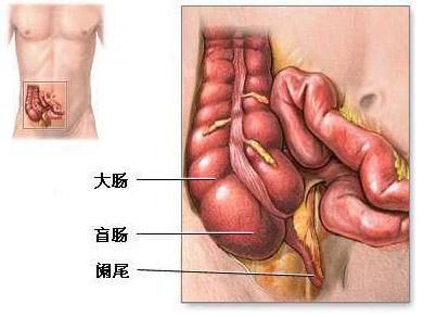 保洁重点部位清洁表 盘点人体需重点清洁的4个部位