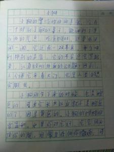 关于小狗的作文100字 关于小狗的作文