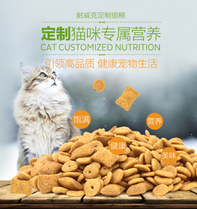 怎么挑选伯曼猫的猫粮 怎么挑选优质猫粮