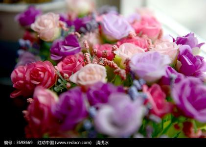 各种颜色玫瑰花语大全 各种颜色的玫瑰花语