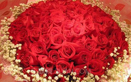 给情人送玫瑰花几朵 情人节送几朵玫瑰花好