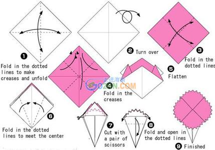 康乃馨的折法图解步骤 康乃馨的折法步骤图(2)