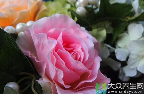 布艺玫瑰花的做法 布艺玫瑰花的做法(2)