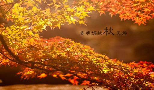 北京秋天温度 有温度的秋天