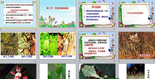 生物进化的历程说课稿 初中《生物的进化》生物说课稿