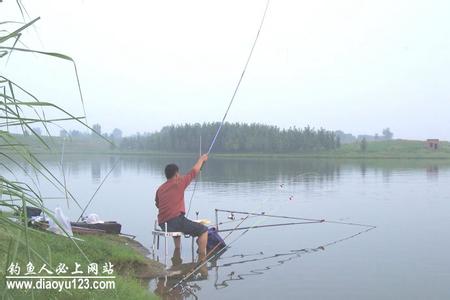 钓鱼视频野钓实战大鱼 野钓两小招让你钓大鱼