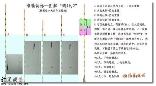 钓鲤鱼饵料配方 介绍几种钓鱼配方