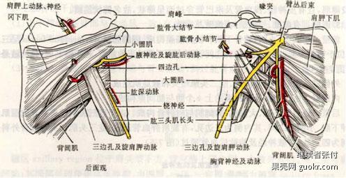 定向运动对学生作用 定向运动的作用有哪些