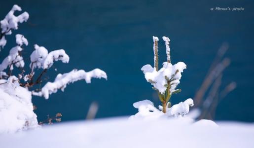 雪之悟 雪悟