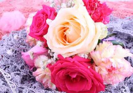 昙花各种颜色的花语 玫瑰各种颜色的花语