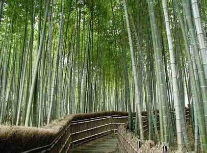 兰州竹林沟自然保护区 甘肃兰州竹林沟自然保护区