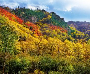 兰州青城古镇怎么走 天祝三峡国家森林公园