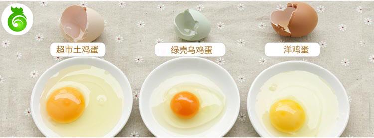 怎样分辨真假土鸡蛋 怎样鉴别土鸡蛋