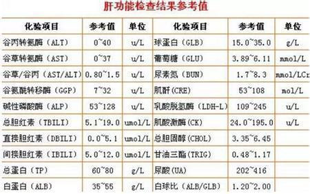 肝功能各项指标意义 肝功能各项指标