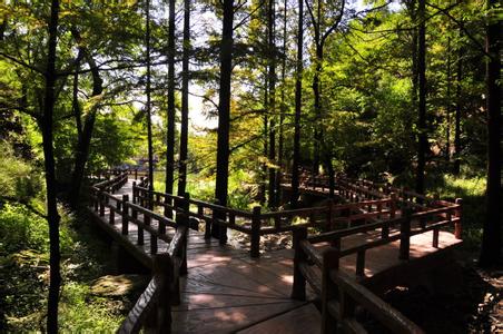 北京樱桃沟怎么样 北京樱桃沟