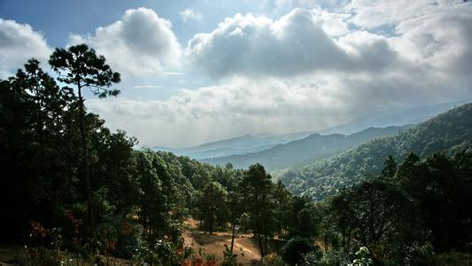 紫溪山自然保护区 楚雄紫溪山自然保护区