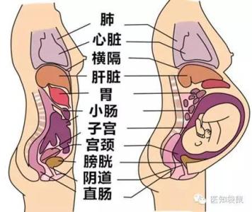 怀孕初期体温变化图 怀孕初期的生理变化