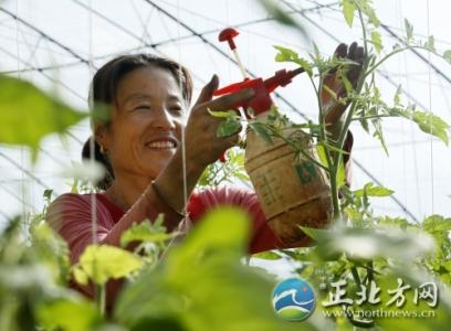 普京笑谈危险伴飞 笑谈幸福